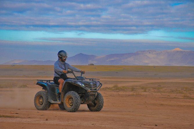 Half-Day Palm grove desert Quad & Camel Tour - The Itinerary in Depth