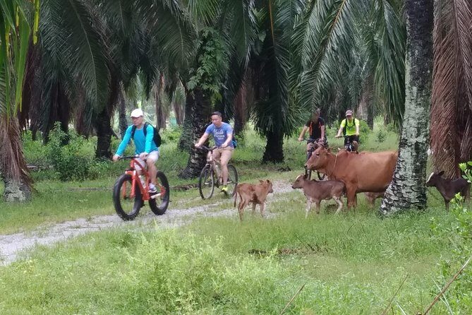 Half-Day Penang Countryside Cycling Tour - Authenticity and Value