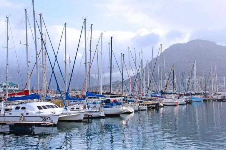 Half Day Penguins Colony and Constantia Wine Tasting Tour - Practical Details and Value