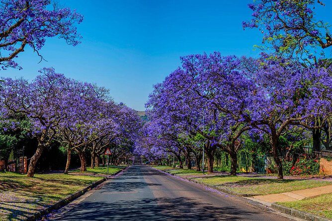 Half Day Pretoria City Tour from Johannesburg or Pretoria - Practical Details and What You Can Expect