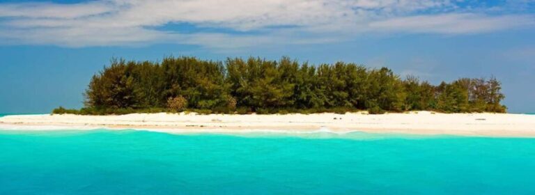 Half Day prison Island trip - Who Should Consider This Tour