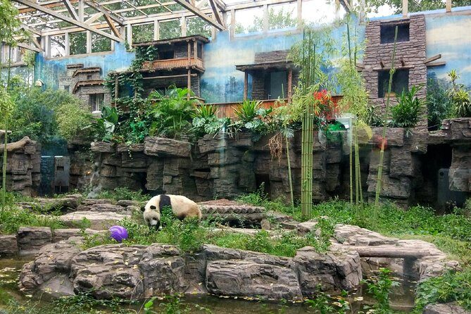 Half-Day Private Customized Beijing City Tour with Flexible Departure Time - The Value of a Private, Custom Tour