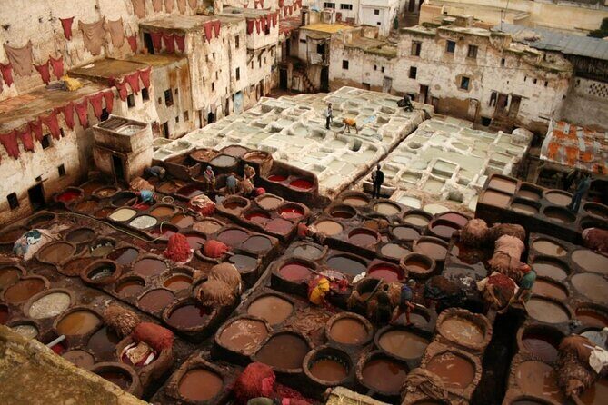 Half Day Private Guided Tour of the Medina of Fez - FAQs