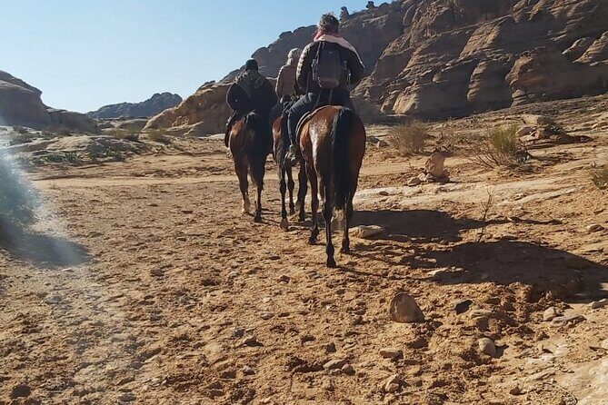 Half-Day Private Indiana Jones Petra Back Road Trial Tour - What’s the Value?