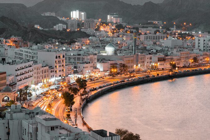 Half-Day Private Muscat City Tour- with a local guide - Who Should Consider This Tour?