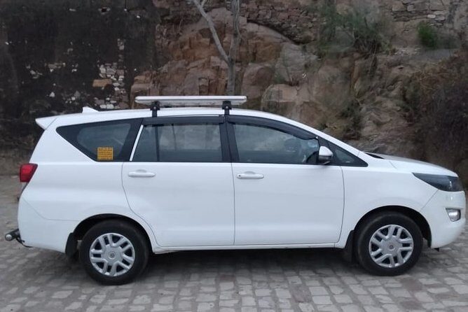 Half-Day Private Sightseeing tour to Wildlife SOS from Agra - A Practical Look at the Tour Experience