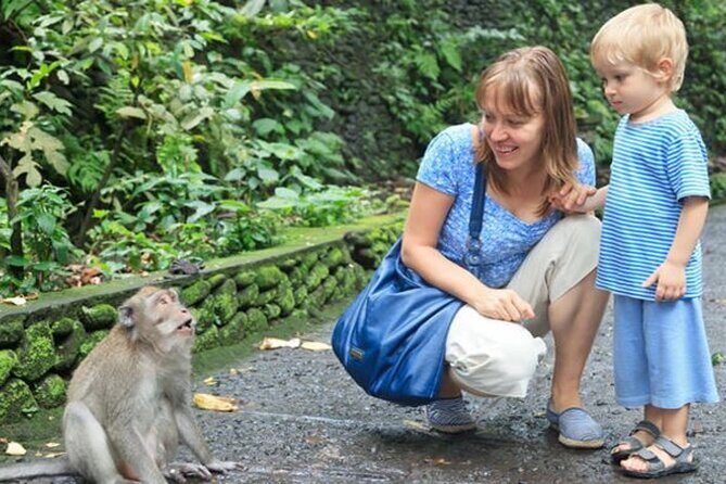 Half Day Private Tour in Ubud - Who Should Book This Tour?