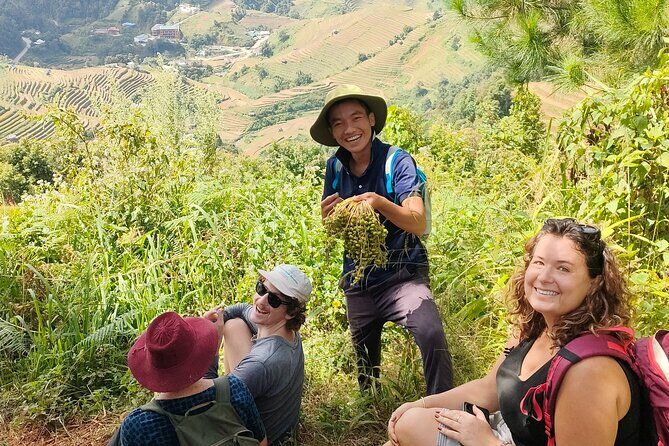 Half Day Private Trekking Mu Cang Chai_Morning or Afternoon - Who Should Consider This Tour?