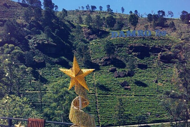 Half-Day Private Trip to Waterfalls and Tea Factory - Who Is This Tour Best For?