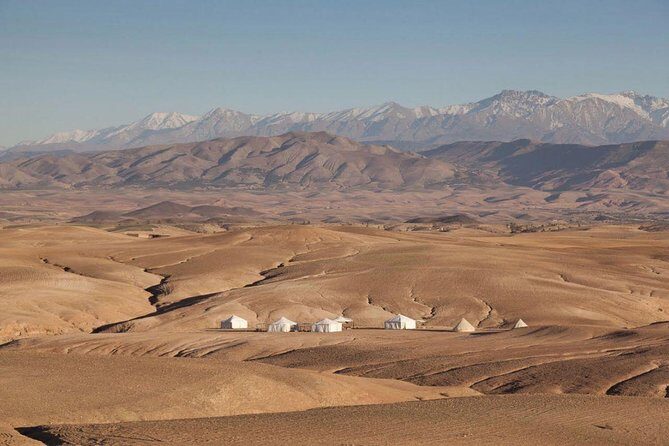 Half-Day Quad Biking in Agafay Desert - What Travelers Say