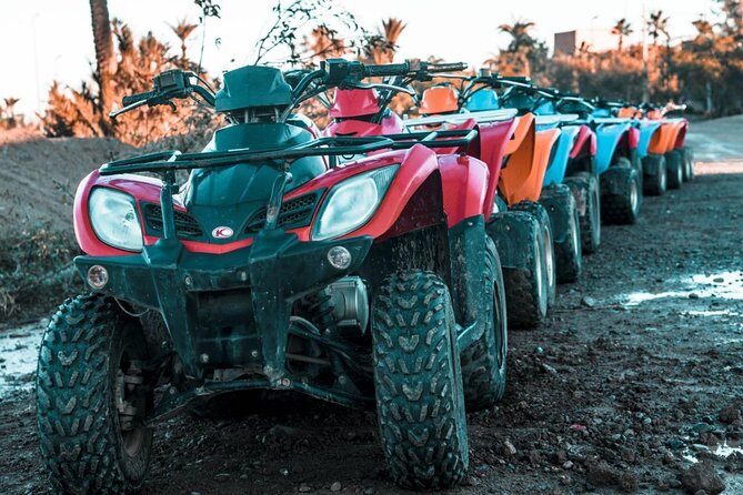 Half day Quad Palmeraie: The Best Quad rides - The Cultural and Scenic Highlights