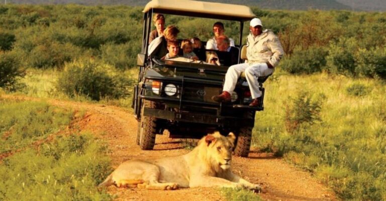 Half Day Safari Tala Game Reserve & Lion Park from Durban - Final Thoughts on the Tour’s Value