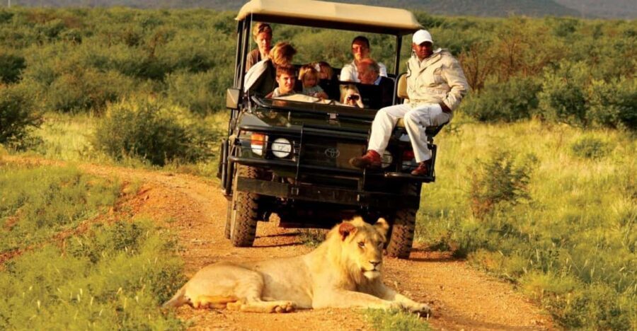 Half Day Safari Tala Game Reserve & Lion Park from Durban - Final Thoughts on the Tour’s Value
