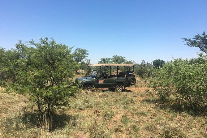 Half Day Safari Tour from Johannesburg - Who is This Tour Best For?