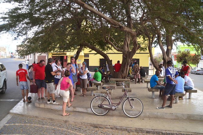 Half-Day Sal Island Tour with Shark Experience from Santa Maria - Why This Tour Offers Real Value