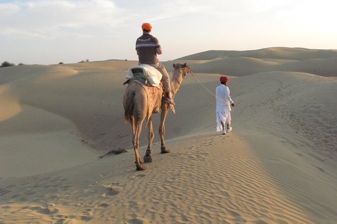 Half Day Sunset Camel ride & Cultural program dance & dinner - Deep Dive into the Experience
