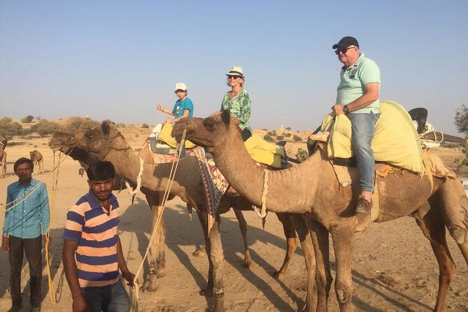 Half-Day Sunset Camel Safari in Rajasthan - Whats Included and Whats Not