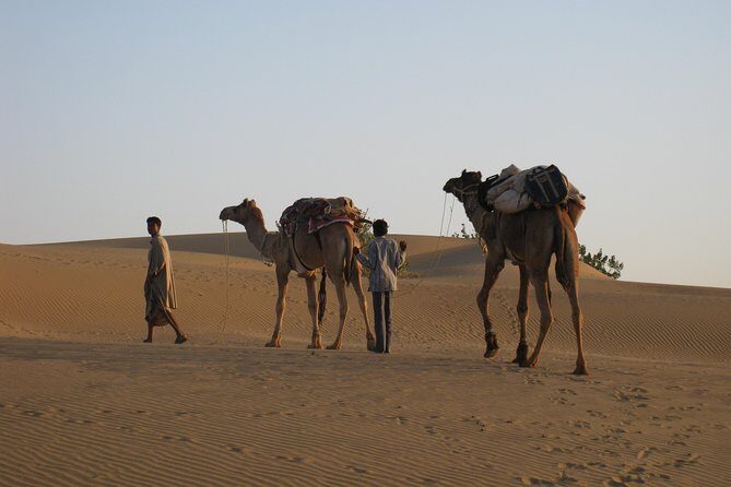 Half-Day Sunset Desert Safari - Key Points