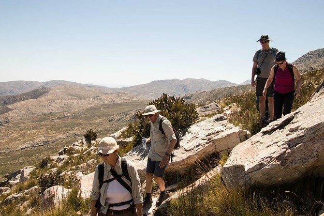 Half-Day Swartberg Pass PRIVATE Tour (including lunch & transfer - Oudtshoorn) - Why This Tour Stands Out