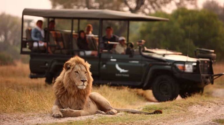 Half-day Tala Game Reserve & Lion Park Safari from Durban - Authenticity and Quality of the Experience