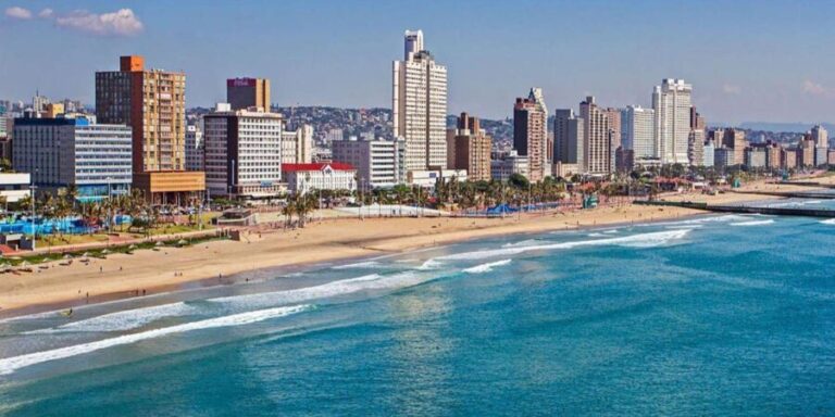 Half Day Tala Game Reserve & Natal Lion Park from Durban - The Value of the Experience: Is It Worth It?