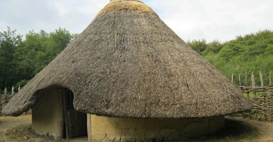 Half-Day Tala Game Reserve & Phezulu Safari Park from Durban - Exploring the Itinerary in Detail