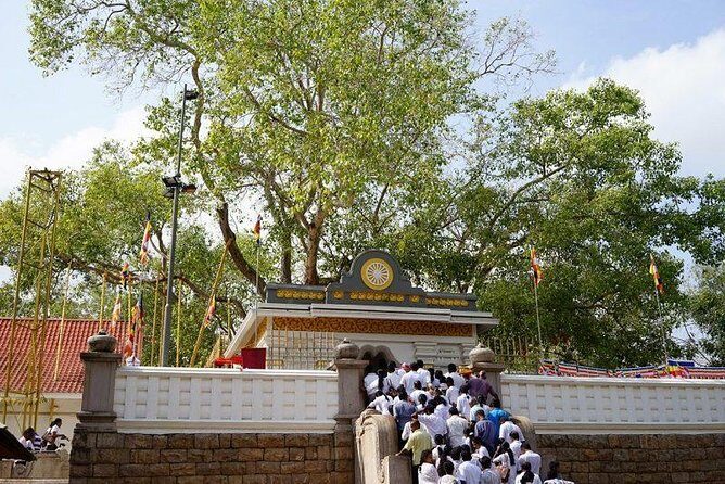 Half day tour - in Sacred city of Anuradhapura Or sacred city of Mihintale. - The Practicalities