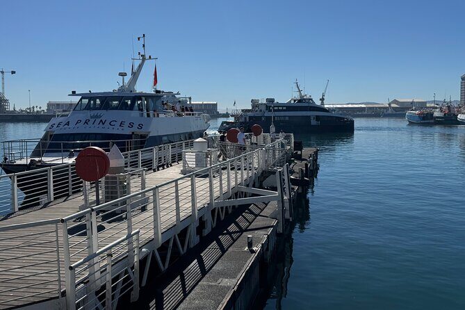 Half-Day Tour to Robben Island with Reserved Tickets. - FAQ