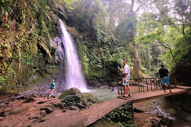 Half Day Tour Ubud Rice Terrace with Activities and Waterfall - What’s Included and What’s Not