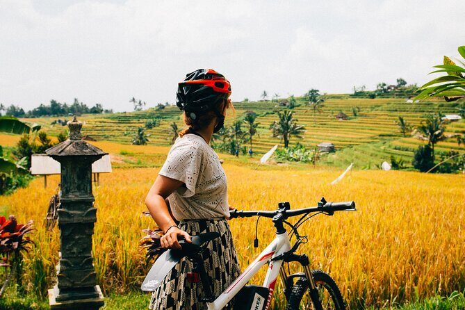 Half-Day Ubud Rice Field and Village Cycling Tour - What You’ll Love About This Tour