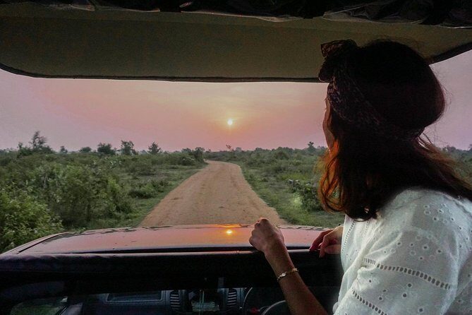 Half Day Udawalawe Safari (Entrance + Lunch) - Transportation and Comfort