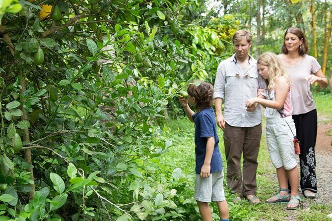 Half Day Village Backwater Eco Country Boat Cruise :Group Tour from Fort Cochin - Why This Tour Stands Out