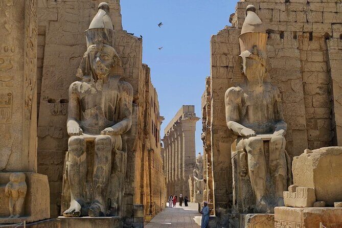 Half Day West Bank Tour to Valley of the Kings Queen Hatshepsut Temple & Memnon - Who Will Love This Tour?