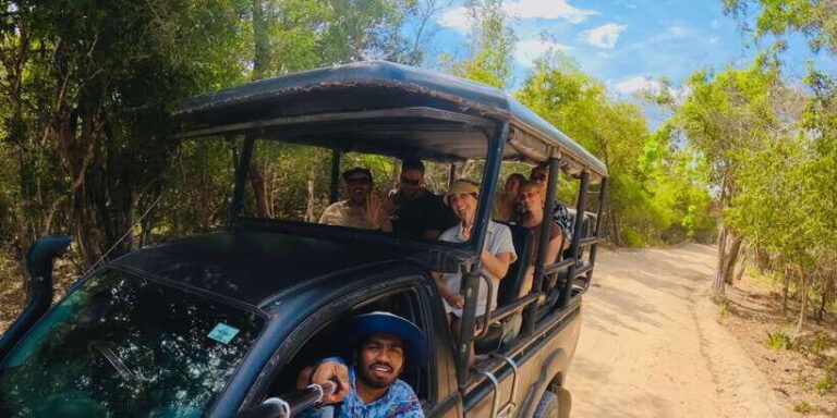 Half-Day Wild Safari in Yala National Park - Who Should Consider This Tour?