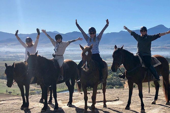 Half Day Wine Tasting Horse Trail - Authentic Feedback and Highlights