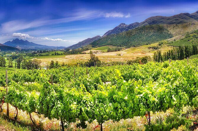 Half Day Wine Tour from Cape Town - The Practicalities