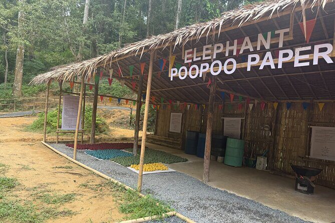 Half day with Elephants at Patong Elephant Hug No ride No trick - Practical Details and What to Expect