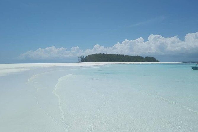 Half Day Zanzibar Mnemba Atoll Marine Reserve Snorkeling Tour - The Value Proposition: Is It Worth It?