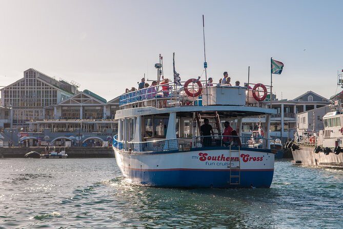Half Hour Seal and Harbour Cruise from Cape Town - What the Reviews Tell Us