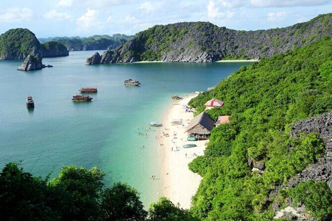 Halong Bay 2Days/1Night on 4 Star Cruise All Included - Setting the Scene: What to Expect from This Halong Bay Cruise