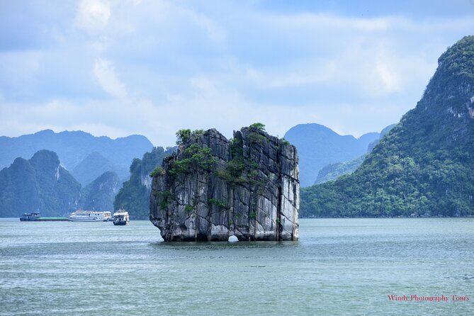 Halong Bay 6 Hours Cruise with Buffet, Sung Sot, Luon Cave, Titop - The Itinerary in Detail