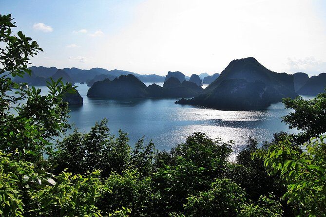 Halong Bay Cruise - Day Tours - What Travelers Say