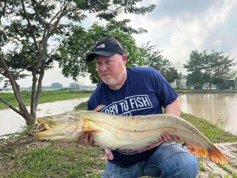 Hanoi: Catfish Luring Experience with Round-Trip Transfer - What’s Included and What to Keep in Mind