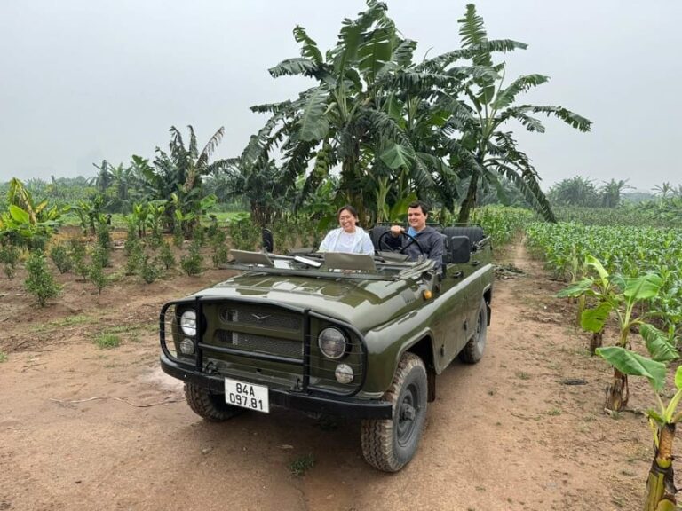 Hanoi City Tour and Countryside 4,5 Hours - The Practical Side: What’s Included and What to Know