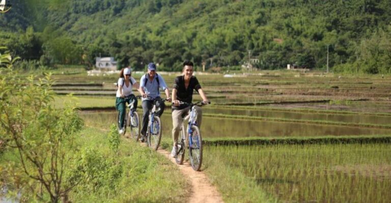Hanoi: Cycling Tour of Hoa Lu, Trang An with Meals and Guide - What You Can Expect from the Tour