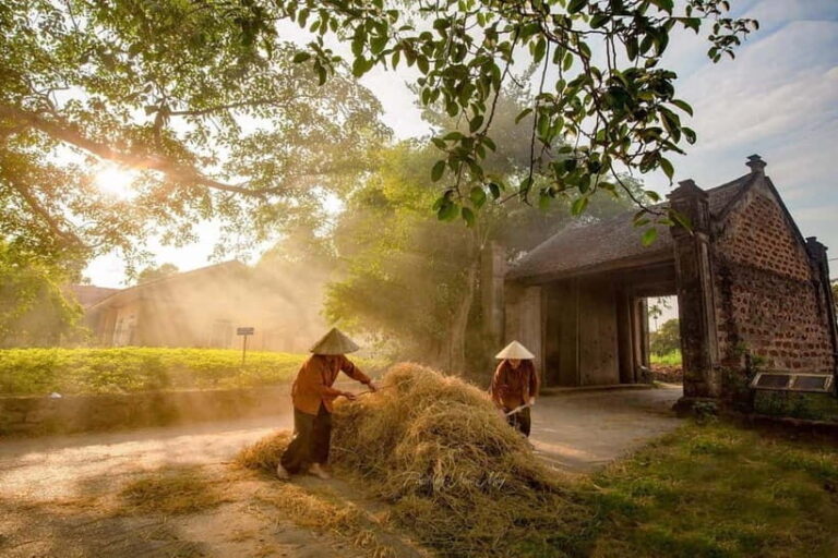 Hanoi: Duong Lam Village Tour & Learn About the Countryside - Value and Practical Insights