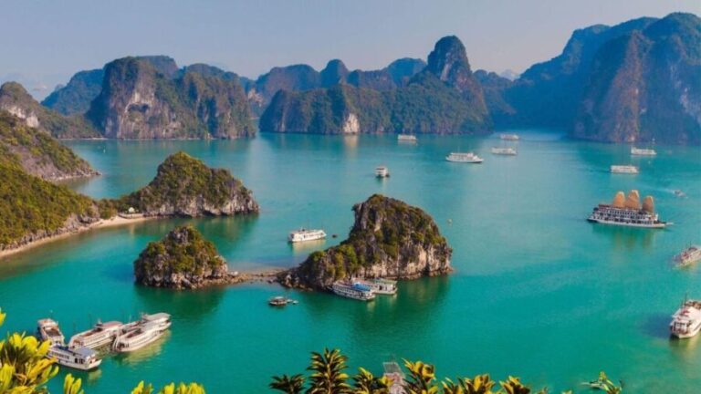 Hanoi Epic tour 6D5N Hanoi - Halong Bay - Ninh Binh - Sapa - Transportation and Logistics: What to Expect
