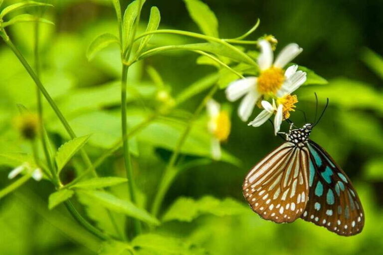 Hanoi: Full-day Cuc Phuong National Park Eco-adventure - Valuing the Experience