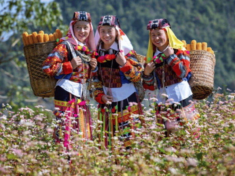 Hanoi: Ha Giang Loop Tour 3 Days 2 Nights with easy rider - Who Should Consider This Tour?