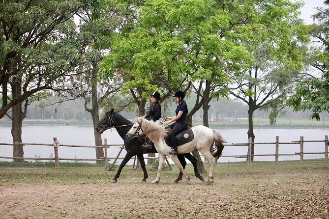 Hanoi Horseback Riding Tour - Exclusive Experience - The Sum Up